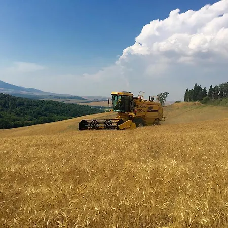 Gospodarstwo agroturystyczne L'antica Quercia